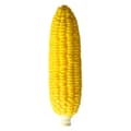Corn Squishies Stress Relief Novelty Toy Soft Scented Simulation Corn Squeeze Toys Cute Birthday Gift