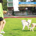 Miniatyrbilde 5 av 5: Hundehalsbånd med komfortabelt polstret håndtak og svært reflekterende tråder for små, mellomstore og store hunder (6FT-1/2'', rosa)