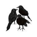 Miniatyrbillede 3 af 5: 6 x Halloween Dekoration Krage Kunstig Ravn Krage Med Fjer Sort Fugl