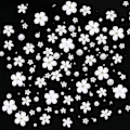 Miniatyrbild 3 av 5: 3D Blomster Nagelkonst Charm, 250 st Vit Blommor Nagel Strass Kit 3D Kristall Nagel Pärlor Platt Design Akryl Nagelkonst Dubbar Manikyr Nagel Tillbehör
