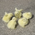 Miniatyrbild 4 av 8: Realistisk pälsdjur docka Simulering Chick mjuk plysch Toy Chi A