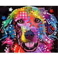 Pikkukuva 1 / 4: Diamantmålning - hund Multicolor