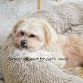 Miniatyrbillede 5 af 5: Rolig Hundekurv & Kattekurv, Anti-Angst Donut Hundekurv, Varmende Hyggelig Blød Hund Rund Kurv (Bunt/20\")