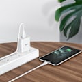 Miniatyrbilde 3 av 5: hoco. C81 enkelport lader US standard for Apple universal mobiltelefon laderhodesett