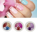 Miniatyrbild 11 av 11: Spegelspegeleffekt Nagelpulver Salon Utsökt Holografiskt Metalliskt Nagelkonstpulver med Applikator för Konstnär