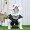 Miniatyrbild 4 av 5: Bröllopsklänning för hund, formell bulldog-smoking, fluga, kjol, husdjursdräkt, festprinskostym (storlek XL)