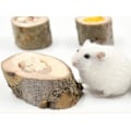 Miniatyrbilde 3 av 4: Hamster Trefat i Tre for Pinnsvin - Gris Gerbil Ekorn Reptiler Chinchilla Keramisk Matfat