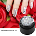 Miniatyrbild 2 av 5: Spik UV-gelpolish Stora paljetter Nail Art Soak Off Blank Glansfärg Färgglad Dekorgel 1#