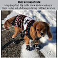 Pikkukuva 4 / 4: Koirakengät lämpimät saappaat talvi vedenpitävät liukueste nahka pentu tassu suojat Booties lumelle/jääpäällysteelle