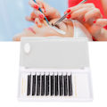 Miniatyrbillede 11 af 11: YY Lash Extensions D Curl 0,07 mm 13 mm D Curl Volume Soft Black 10 Rækker Fan Falske Øjenvipper til Begyndere