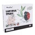Miniatyrbillede 1 af 5: Trælegetøj til læring for piger og drenge i alderen 3, 4 og 5 år - Lær tal og udvikle finmotorik