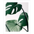 Miniatyrbild 5 av 8: Wekity Botaniska Väggkonst Tryck Set om 3 Tropiska Löv Canvas Dekor Växtblad Boho Väggdekor Bilder Gröna Boho Posters Konst Set Badrum Vägg A