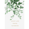 Miniatyrbild 5 av 8: Wekity Botaniska Väggkonst Tryck Set om 3 Tropiska Blad Canvas Dekor Växtblad Boho Väggdekor Bilder Gröna Boho Posters Konst Set Badrum Vägg A