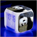 Miniatyrbillede 1 af 5: Panda, Lysende, LED Ur, Farve Skiftende LED, til Børn og Piger (Sød Panda)