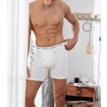 Miniatyrbillede 4 af 7: Herre 6-pakning boxershorts bløde åndbare underbukser S-XXL Open Fly Pale Gray All White Pack-6