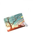 Miniatyrbillede 2 af 3: Ultra tynd Medium Gaming Mouse Pad (210*260*3mm Overflade, Holdbar Polycarbonat Overflade, Silikon+Stof Landskab) Blå