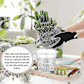 Miniatyrbillede 2 af 5: 10 Pak Perforerede Klar Plastik Orkide Potter, Opdelte Åndbare Potter, Holdbare Klar Polypropylen Blomster, Velegnet Til Indendørs Planter, Sukkulenter.