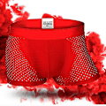Miniatyrbild 5 av 5: Män Boxershorts Underkläder Mesh Andas Bekväma Kalsonger Män Boxershorts Herrtrosor Red L