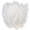 Miniatyrbild 1 av 5: 10-12 tum (25-30 cm) naturliga strutsfjädrar för bröllopsdekorationer, heminredning, blomsterarrangemang, gör-det-själv-julprydnader (10 st, vita)