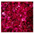 Miniatyrbilde 3 av 5: 150 gram/ 5,3 oz Naturlige ekte røde roseblader Tørkede roseblader for bryllupsdekorasjon Badekar Fotbad Bryllupskonfetti Håndverkstilbehør