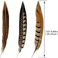 Miniatyrbillede 2 af 5: 21 stk. 20-25 cm Naturlige Fasanfjer til DIY Håndværk Bryllup Hjemmefest Dekorationer, 3 Stilarter