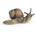Miniatyrbillede 1 af 5: Sneglefigur Legetøj Mini Dyrefigurer Til Eventyrhave, Svampe, Mikro Landskabsdekoration (mørk Farve)