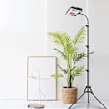 Miniatyrbillede 2 af 5: Vækstlys med stativ, fuldspektret LED-plantelys til indendørs planter, 4H/8H/12H timer, 6 dæmpbare lysstyrker, til høje planter
