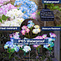 Miniatyrbillede 4 af 5: Solcellehavelamper - 3 Pak 2023 Version Solcellelamper Udendørs, Farverige Lamper, Hortensia Blomsterlamper til Gårdhaveindretning, Havepynt