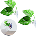 Miniatyrbillede 1 af 5: 2-pak Beta Blad Seng Fisk Hvile Blad Betta Hængekøje Beta Tank Dekorationer Akvarieplanter Betta Fisk Tilbehør Til Lille Tank