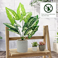 Miniatyrbillede 5 af 5: 3 Pakke Kunstige Planter Kunstige Potteplanter Falske Planter Til Indendørs Kontor Skrivebord Hylde Badeværelse Hjem Bondehus Indretning
