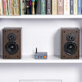 Miniatyrbillede 4 af 5: BT20A Pro 300W x2 TPA3255 Bluetooth 5.0 Hjemme Audio Stereo 2 Kanal Forstærker Receiver Mini Hi-Fi Klasse D Opgraderet Integreret Forstærker
