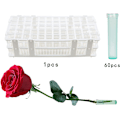 Miniatyrbild 3 av 5: 60 st 2,8 tum plastvattenrör med 60-håls ställhållare för blommor blomsterampuller med lock för dekoration blomsterarrangemang mjölkörtssticklingar