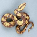 Pikkukuva 4 / 4: Korkealaatuinen simulaatio Python Iso Realistinen Käärme Hankala Karmiva Kepponen Pelottava Käärmelelu
