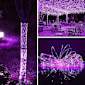 Miniatyrbillede 5 af 5: Solar Lyskæde, 10m 100 LED Rør Lys Til Have, Gård, Sti, Hegn, Trappe, Baghave Purple