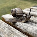 Miniatyrbillede 3 af 5: Sneglefigur Legetøj Mini Dyrefigurer Til Eventyrhave, Svampe, Mikro Landskabsdekoration (mørk Farve)