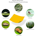 Miniatyrbild 4 av 5: Insektsfällor, 30 bitar dubbelsidigt klibbigt papper, gult klibbigt papper för vita flugblad