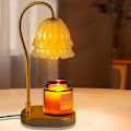 Miniatyrbilde 1 av 5: 1 stk. Aromaterapi Voks Smeltelampe, Inneholder To 50W Små Pærer, Gummitre og Jern Glass Materiale