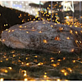 Miniatyrbillede 4 af 4: 2*2m LED Lysnet Lysstreng Med 204 LED'er Jule Net-Mesh Med Kontrolboks