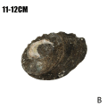 Miniatyrbild 1 av 11: Stort naturligt Abalone Shell Smudging Lugnande energidekor Hem Black-brownB 11-12cm