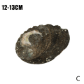 Miniatyrbild 9 av 11: Stort naturligt Abalone Shell Smudging Lugnande energidekor Hem Black-brownB 11-12cm
