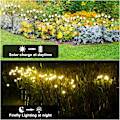 Miniatyrbilde 5 av 5: Solcelle hage lys 2-pakning, 10 LED solcellelys, solcellelys utendørs vanntett, solcellelys, ildflue hage lys