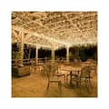 100M 600 LED String Lights for Carnival, Wedding, Outdoor, Indoor, Garden Lighting (Warm White)