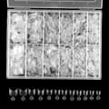 600 Pieces Short Nail Tips Short Oval Half Cover Fake Nail Tips 12 Sizes False Nails Tips With Box