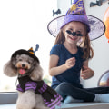Pikkukuva 5 / 5: 1 Set Musta ja Violetti Halloween Lemmikkieläinten Tarvikkeet Koiran Vaatteet
