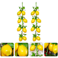Miniatyrbillede 4 af 8: 2 stk. Kunstige Citron Grene Kunstig Frugt Girland Grøn Le