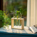 Miniatyrbild 3 av 6: Väggmonterad glasvas för växtförökning, modern design, 3 provrör