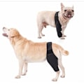 Miniatyrbillede 3 af 5: Forbenet/Bagben Støttebandage til Hunde - Genoptræning efter Forstuvning, Smertelindring, XS