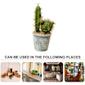 Miniatyrbilde 5 av 5: Tropiske planter potteplanter med potter kreative ornamenter