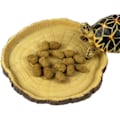 Miniatyrbild 1 av 5: Reptilskål Liten Modell – skål, vattenskål, matskål för reptiler, geckoödlor, sköldpaddor, ormar – terrariumtillbehör (sil)