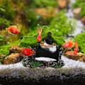 Miniatyrbillede 4 af 6: Akvarium Dekoration Hus Harpiks Hul Hule Hus, Betta Fisk